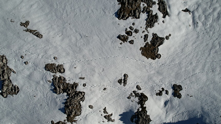 DJI 0502