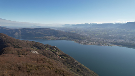 DJI 0542