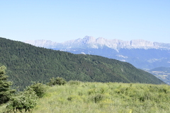  DSC0106