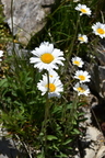  DSC0143