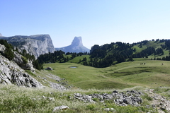  DSC0217